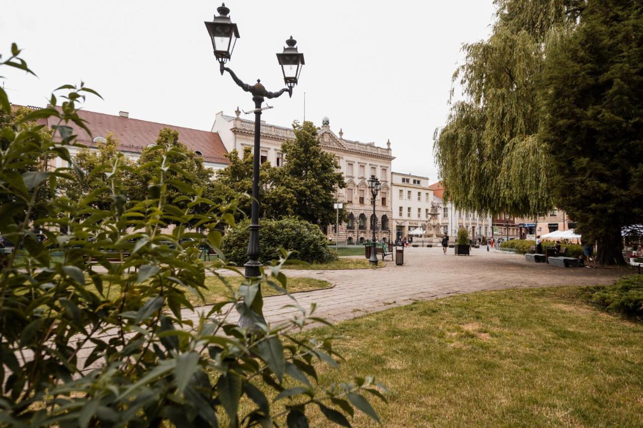 Cathedral Apartment Szczecin Buitenkant foto